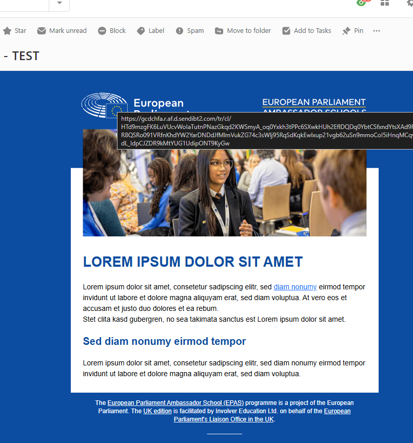 Au Lycée René-Cassin, l&rsquo;Europe s&rsquo;affiche désormais en grand dans le hall principal.